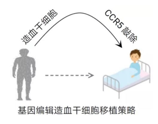 高教国培,科研成果,科研动态 高教国培,科研成果,科研动态